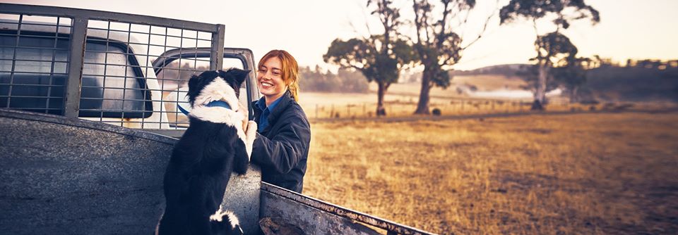 Things were looking quite positive for most Queensland farmer in January 2020 ... until COVID-19 ramifications hit markets. Image: Rabobank.