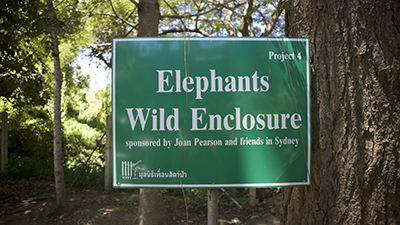 WFFT's wild elephants area has been supported by supporter Joan Pearson's fundraising in Australia.