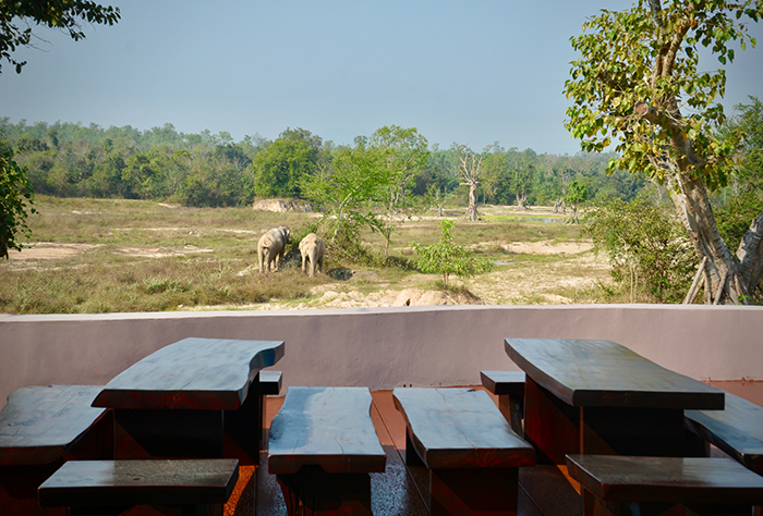 Amazing view of elephants and other wildlife from the eco-lodge. Amazing view of elephants and other wildlife from the eco-lodge.